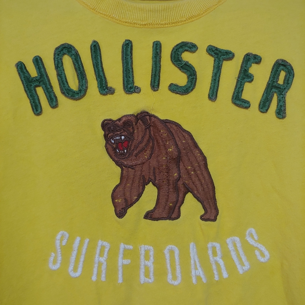 Hollister Embroidered Graphic Tshirt, Vintage